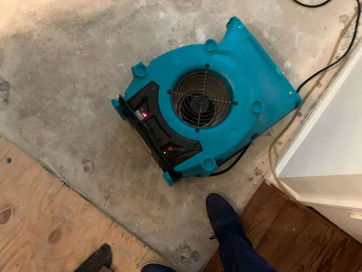 Air mover drying subfloor during Leak Detection & Repair in Friendly